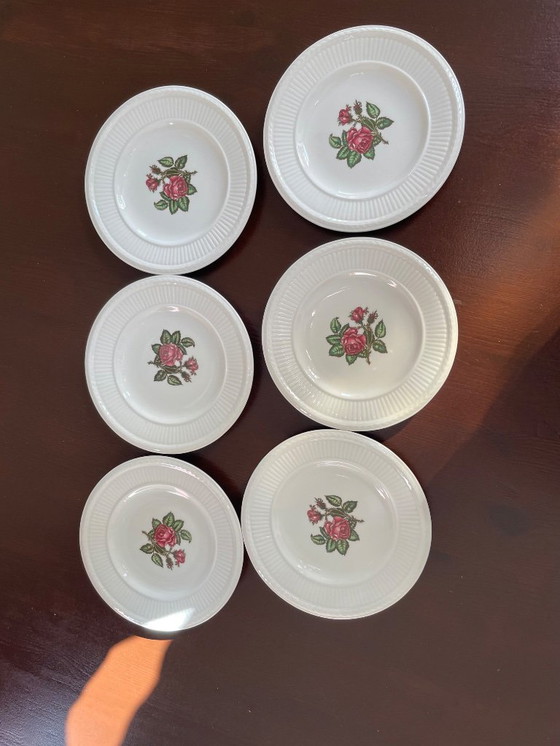 Image 1 of Wedgwood Moss rose