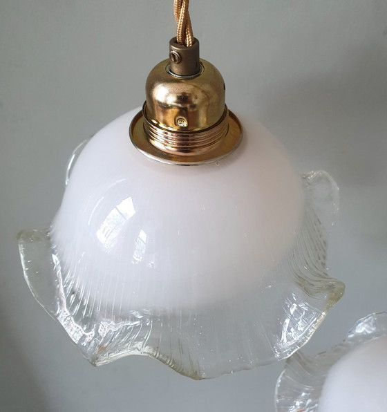 Set di 2 lampade a sospensione vintage in vetro bianco satinato, forma floreale, texture – Metal (photo 22 of 23)