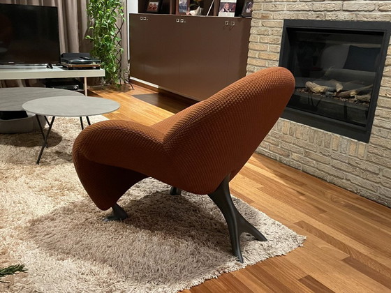 Image 1 of Leolux Papageno Sessel