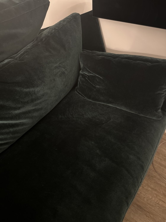 Bielefelder Werkstätten Sofa Loft, 2,60m, Groen Velours – ip design, 3-5 zitsbanken, Other (photo 2 of 5)