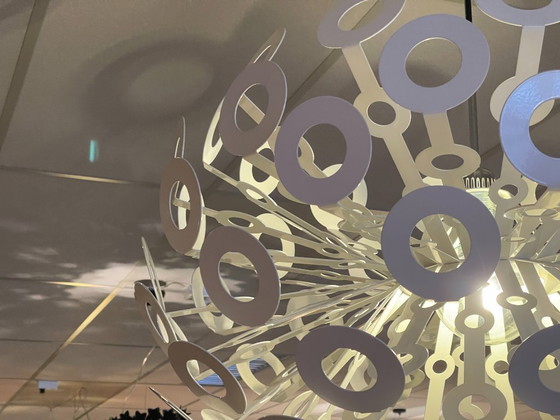 Image 1 of Bellissimo dente di leone