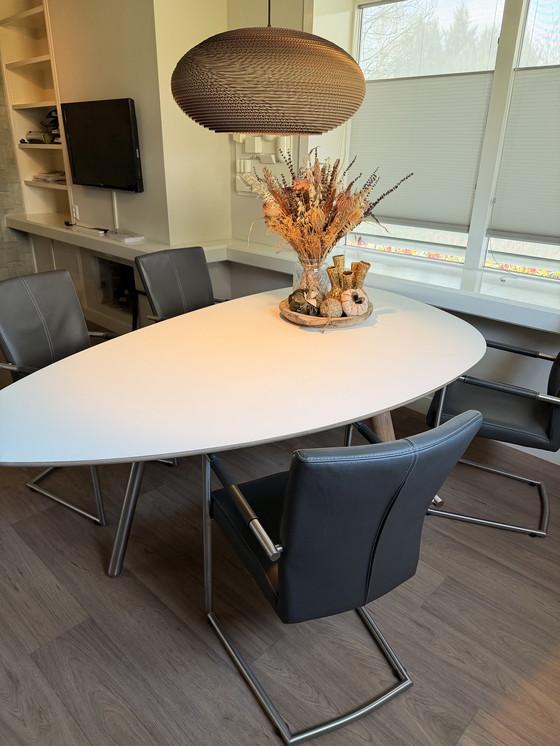 Image 1 of Castelijn Circlips 2 & Leather sled-leg chairs