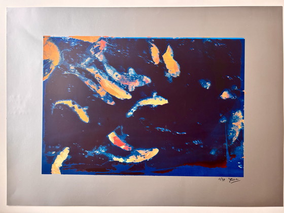 Image 1 of Zeefdruk van koikarpers