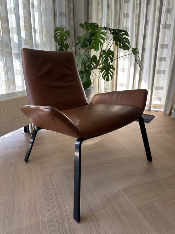 Image 1 of Ottime condizioni Design on Stock Poltrona Komio - Pelle cognac - NP: €1.829