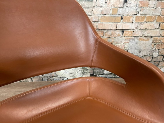 Image 1 of 6x Zanotta Eva