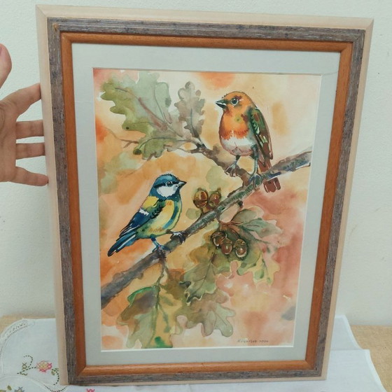 Image 1 of Acquerello originale raffigurante un pettirosso e una cinciallegra in cornice vintage.