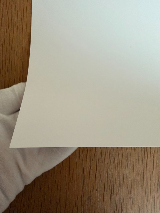 Image 1 of  Jenny Saville: Rosetta Ii, 2005-06, Copyright Jenny Saville, DACS 2021, Printed In US