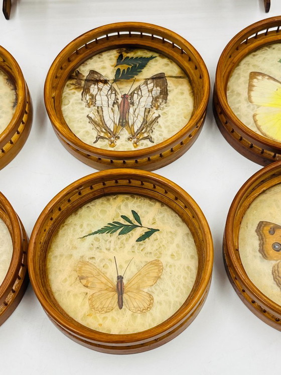 Image 1 of Vintage wooden coaster holder with 6 butterfly coasters