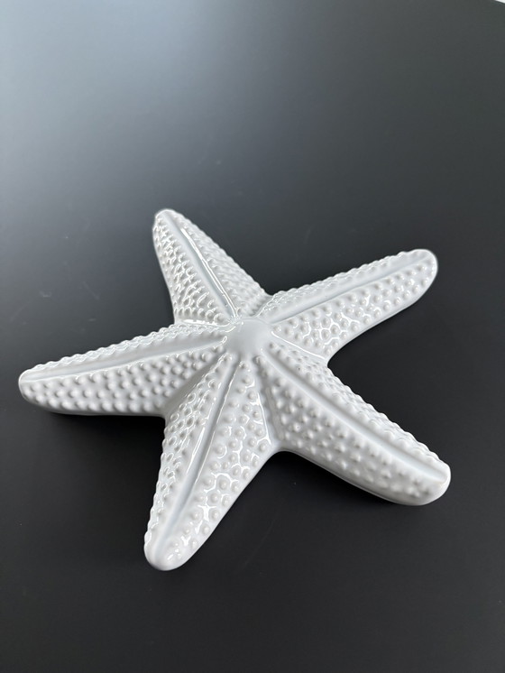Image 1 of Stella marina decorativa in ceramica bianca smaltata
