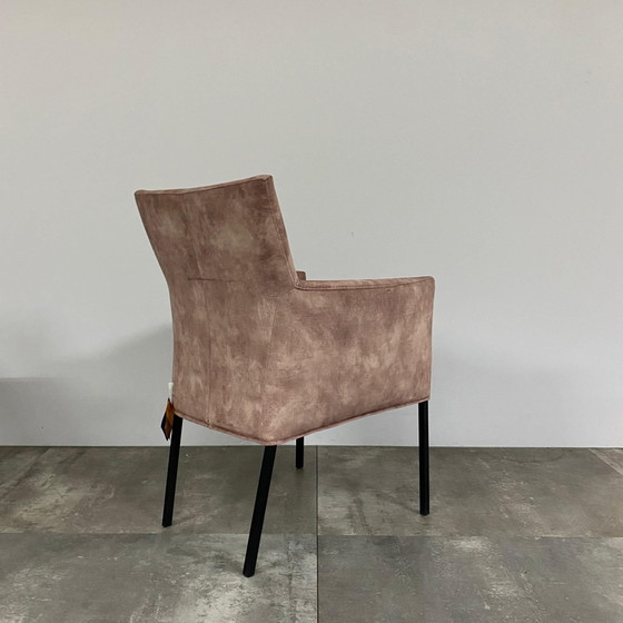 Image 1 of Set di 4 camaleonti