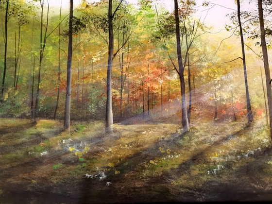 Image 1 of Patrycja Wachecka - Meine Wälder