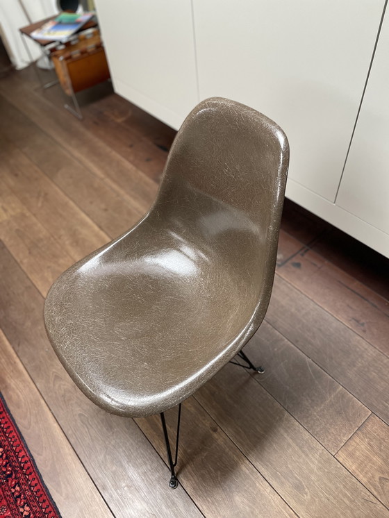 Image 1 of Sedia Eames Herman Miller Vintage in fibra di vetro con base Eiffel