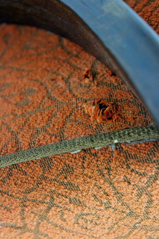 Image 1 of Fauteuils tchèques en bois courbé par Jindřich Halabala pour Up Závody, 1950s, Set de 2