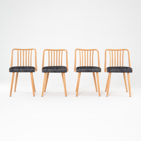 Image 1 of 4x dining chairs by Antonin Suman for Jitona 1960s