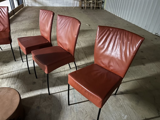 6x Montis Spica