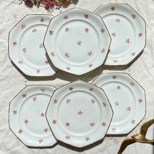 6 platos llanos de porcelana francesa floral LAMOTTE