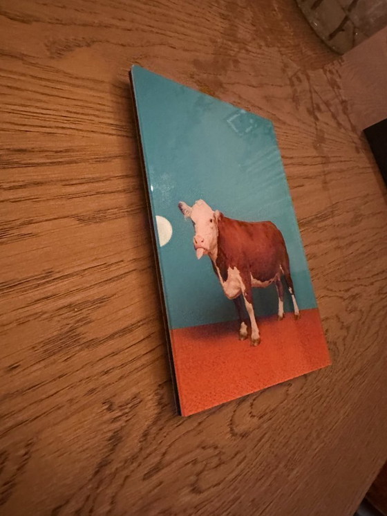 Image 1 of Lumas - Catherine Ledner 2004