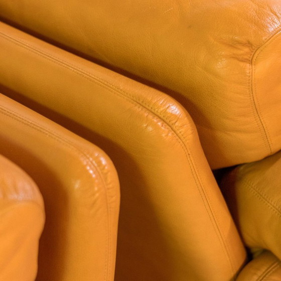 Image 1 of 1x Poltrone vintage Coronado in pelle marrone del 1970 di Tobia Scarpa per C&B Italia