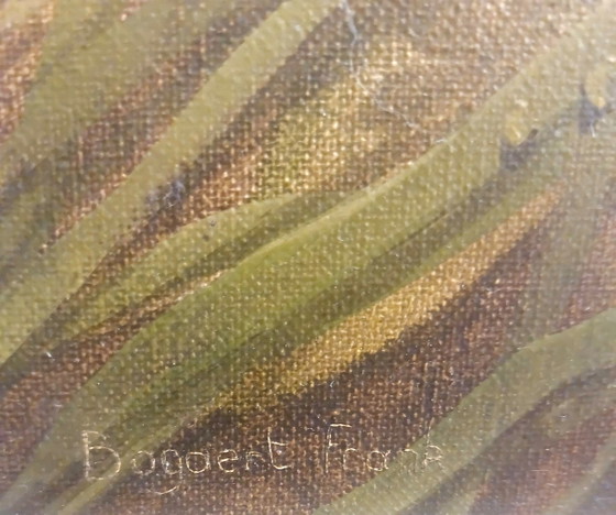 Image 1 of Frank Bogaert