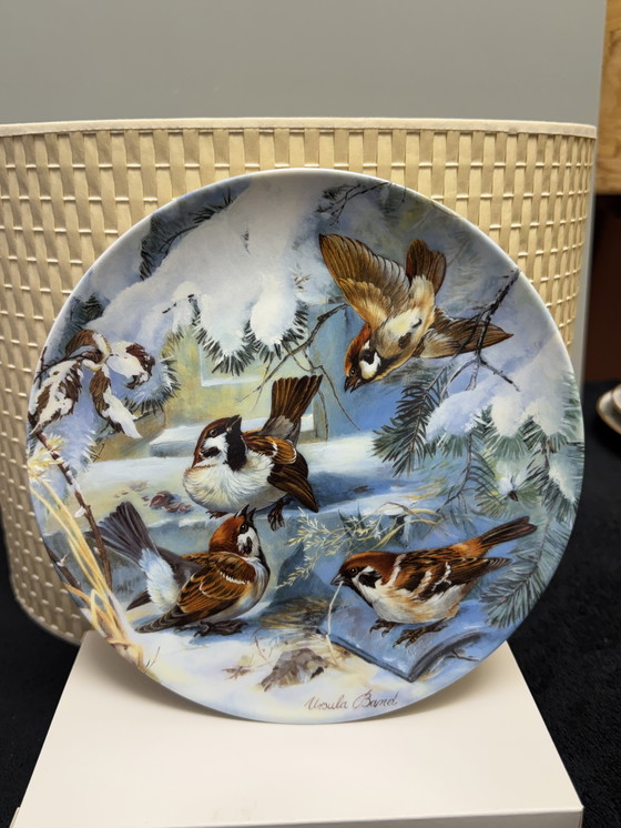 Image 1 of 🐦 „Vögel im Winter“ | Handbemalte Porzellanteller für Sammler | Hutschenreuther | Limitierte Auflage | Neuwertiger Zustand