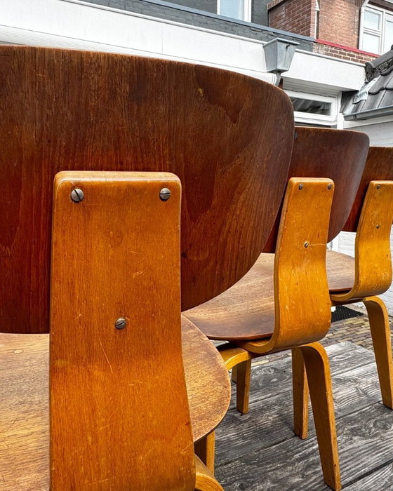 Image 1 of 6 x chaises Cees Braakman Pastoe SB02