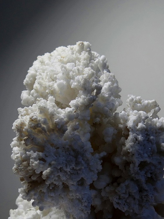 Image 1 of Collezione di minerali, esemplare antico di aragonite bianca dal Messico, +3,2 kg