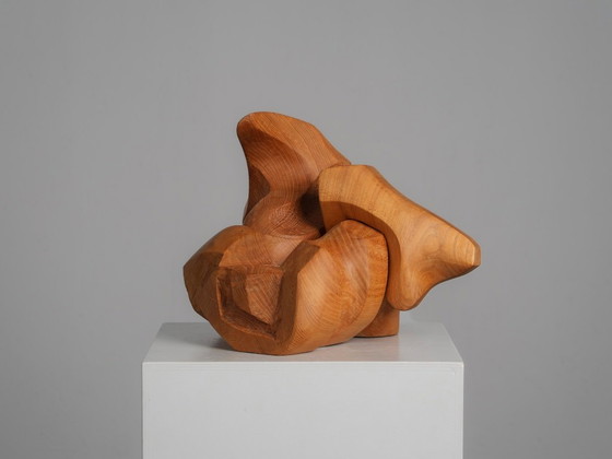 Organische abstrakte Holzskulptur von Joop van Bergen, Niederlande, 1980er Jahre – Bildhauerei, Wood (photo 3 of 10)