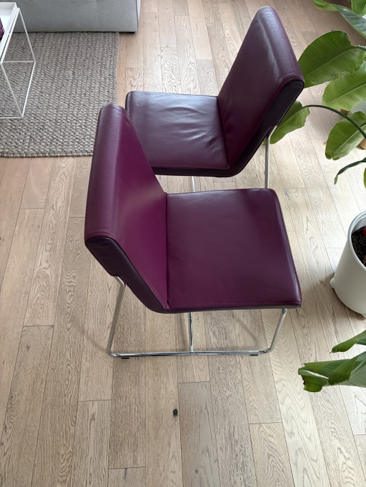 2 chaises de salle à manger Leolux Spring