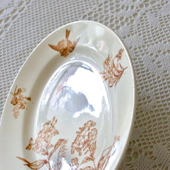 Image 1 of Grand Plat Ovale XIXe signé Longwy Terre De Fer Sépia "Botanique"