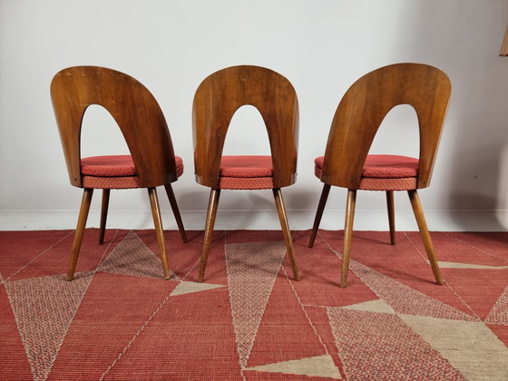 Image 1 of Vintage Chairs By Antonin Suman, 1960S, Set Of 3