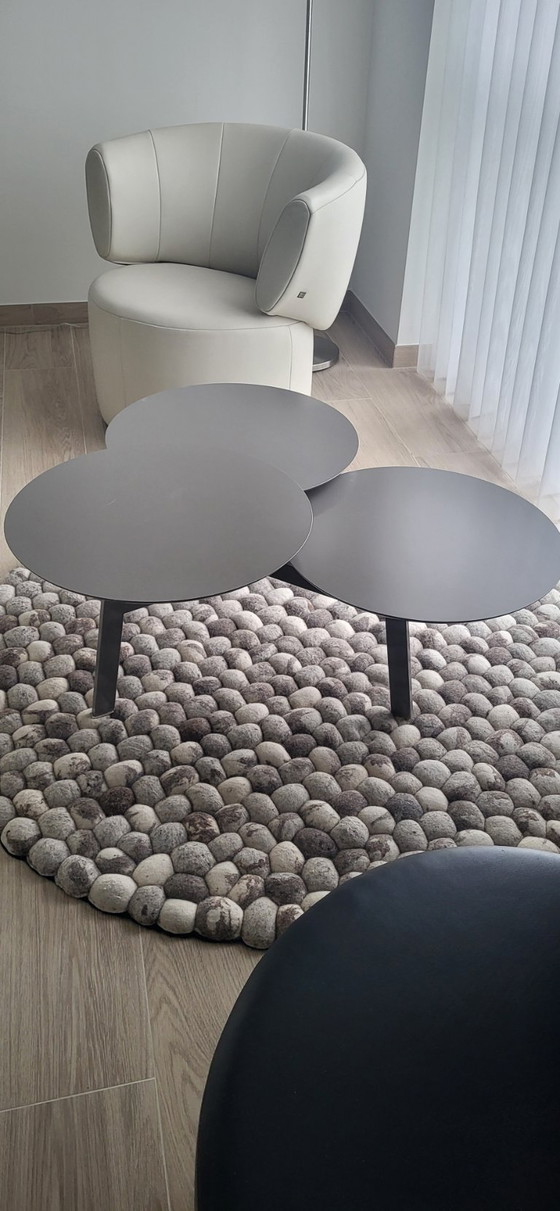 Image 1 of Mesa de centro Leolux Ninfea