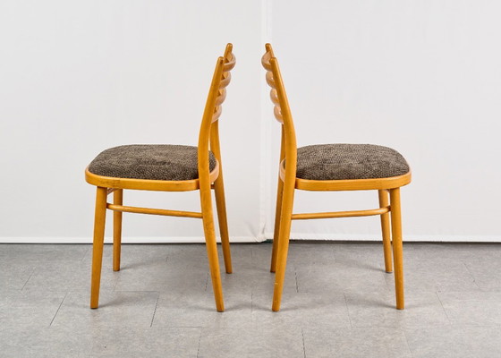Set di 4 Sedie da pranzo, di TON, anni '60, Cecoslovacchia – Tessile, Legno (photo 6 of 20)