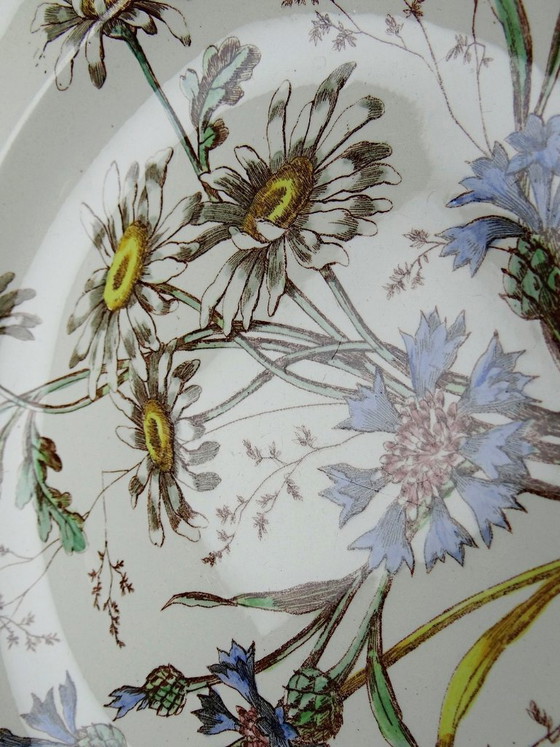 Image 1 of Antique Longchamp deep dish with polychrome ironstone daisies