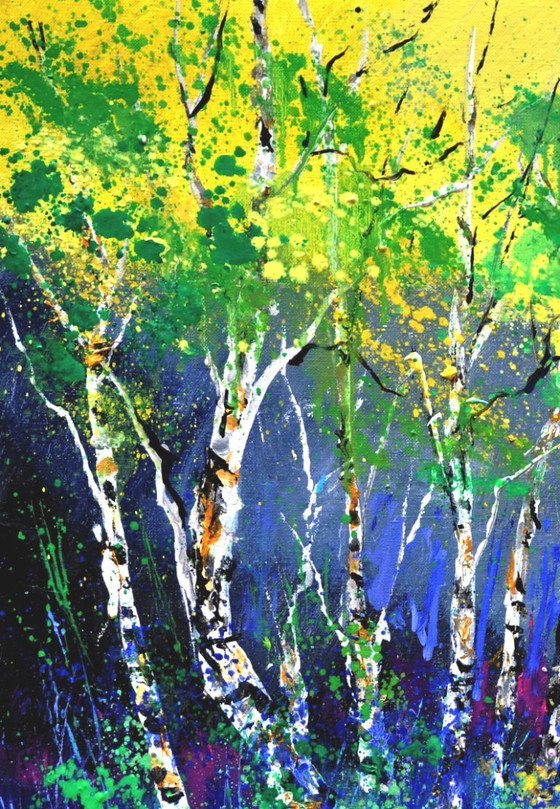 Image 1 of Aspen trees