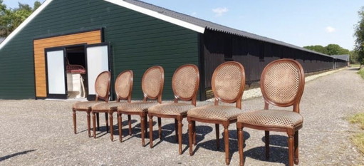 6 medallion eetkamer stoelen 