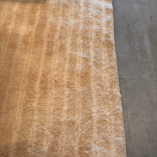 Linteloo Flow rug - 200x300