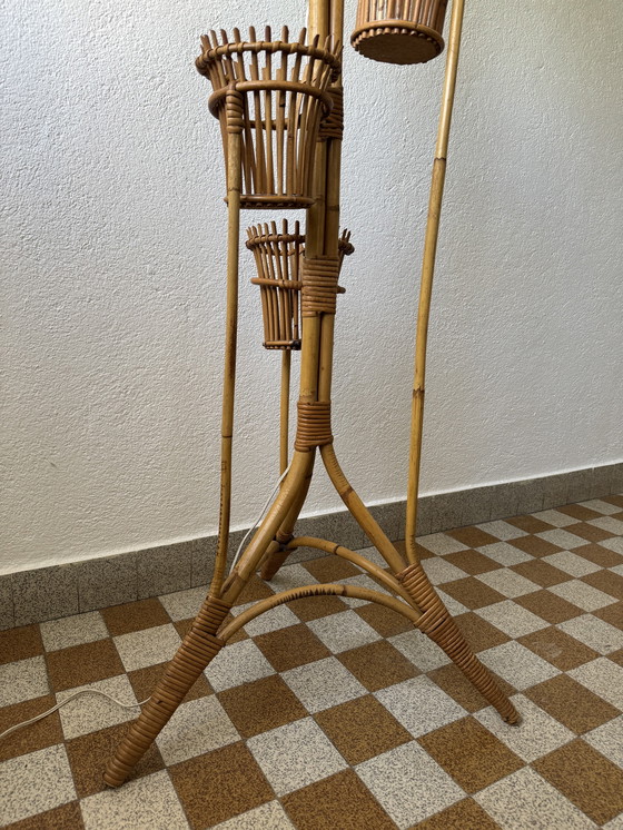 Image 1 of Lámpara de pie con soporte para plantas de ratán de los años 50
