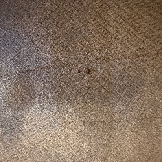 Image 1 of Cognacfarbenes Ecksofa, gereinigt, 276 x 200 cm