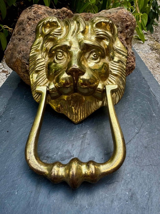 Gran aldaba de león en latón macizo Art Nouveau – Objetos decorativos, Brass (photo 5 of 5)