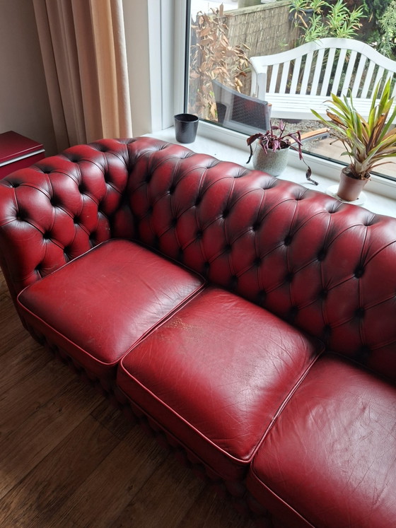 Chesterfield Spingvale Rossendale 1, 2 e 3 Posti – Zona salotto, Leather, Wood (photo 6 of 11)