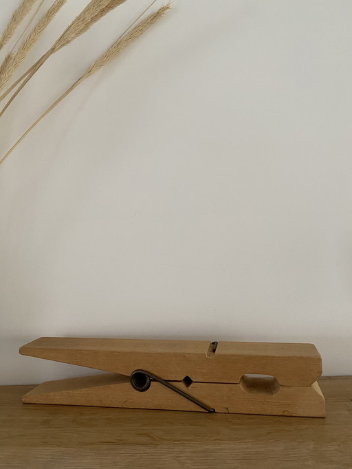 Eyecatcher - reuzen wasknijper - stoer