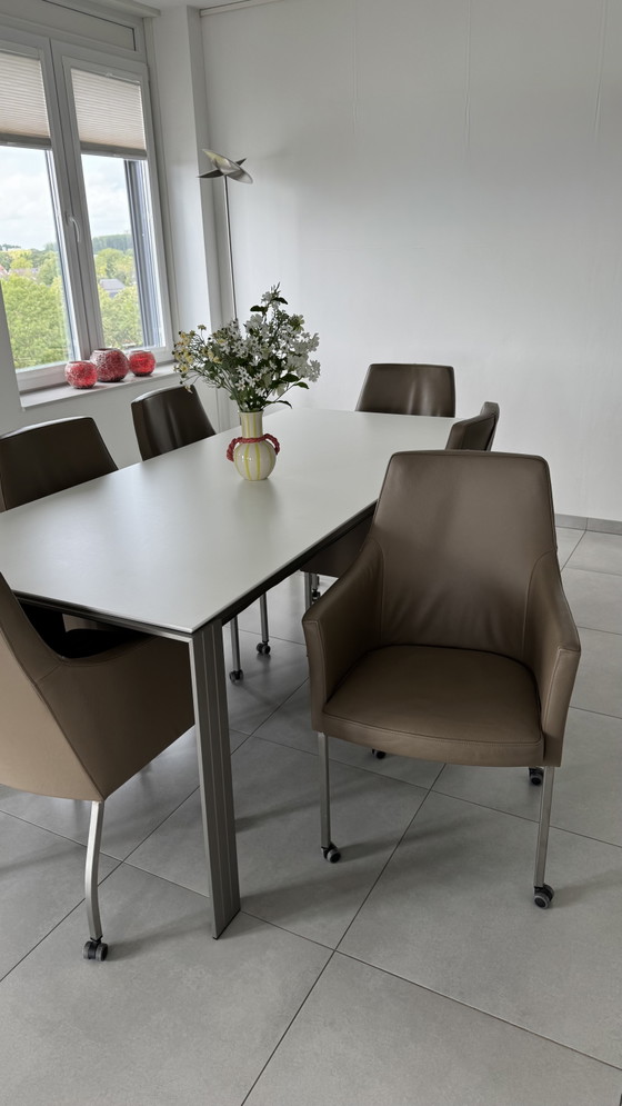 6 Sedie da pranzo di Brees New World – Bree's New World, Leather (photo 2 of 8)