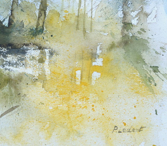 Image 1 of Licht in het bos