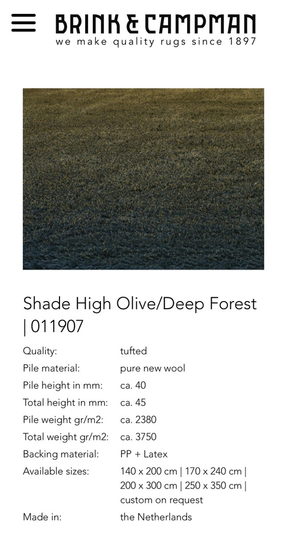 Tappeto Brink en Campman Shade Olive/ Deep Forest NUOVO – Brink & Campman, Tappeti, Lana (photo 2 of 15)