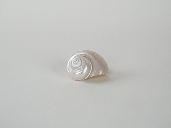 Image 1 of Concha de nácar, diseño italiano, años 70, fabricada en Italia.