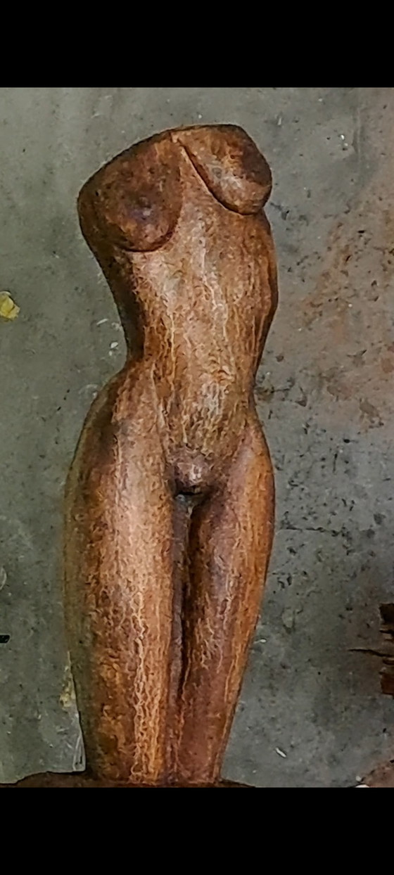 Image 1 of Torse