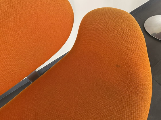 Image 1 of 4 x Tulip Artifort.