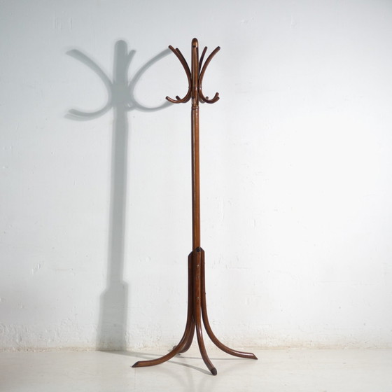 Bentwood Coat Stand in Beechwood – Austria-Hungary, Thonet Style, Circa 1900 – Coat racks, Metal (photo 8 of 36)