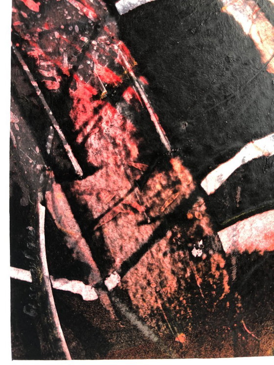 Image 1 of Rob Jacobs - underwater world 1