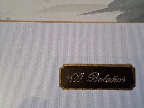 Image 1 of Origineel aquarel schilderij, gesigneerd door Dolors Bolanos, ingelijst.